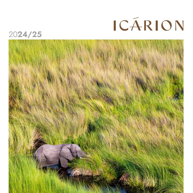 africa2 la palma de gran canaria