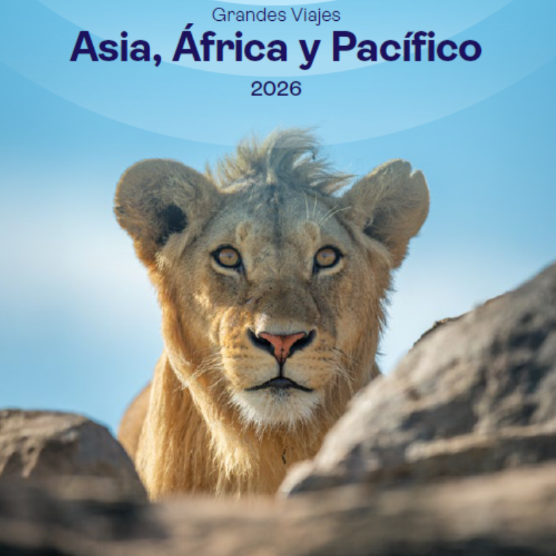 Asia, África y Pacífico la palma de gran canaria