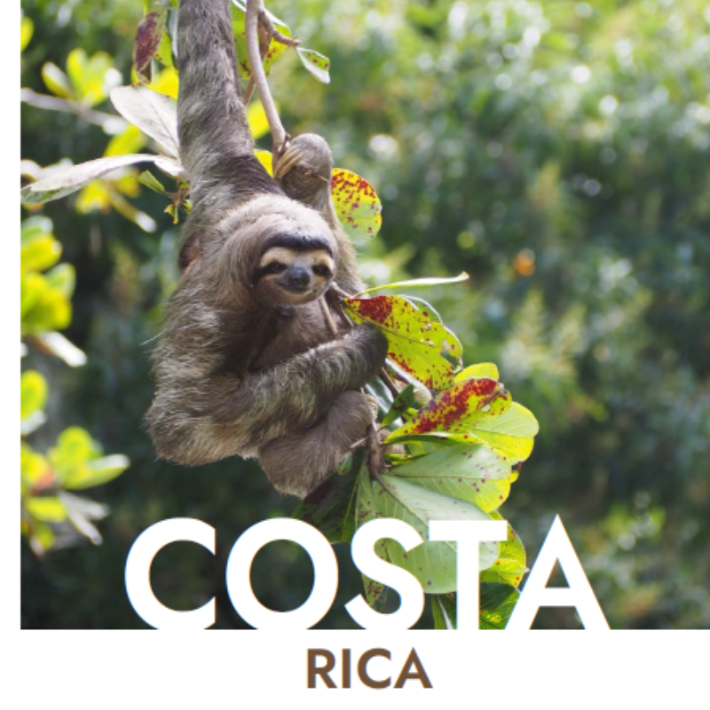 Costa Rica2 la palma de gran canaria